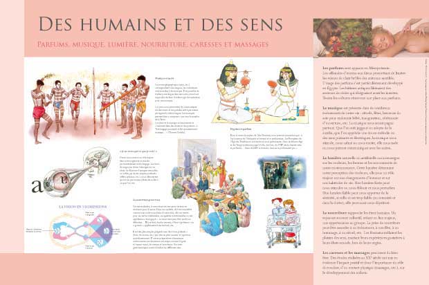 exposition des humains et des sens 