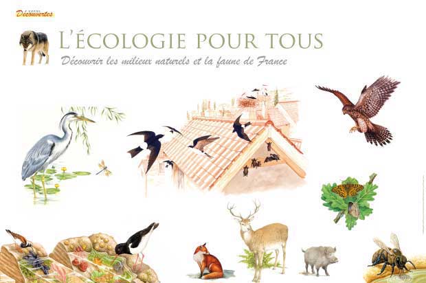 exposition écologie pour tous , découvrir les milieux naturels et la faune de France 