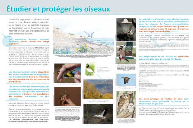 Exposition Migration des oiseaux, rester sur place en hiver