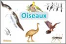 exposition découverte Oiseaux