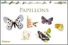 Exposition papillons