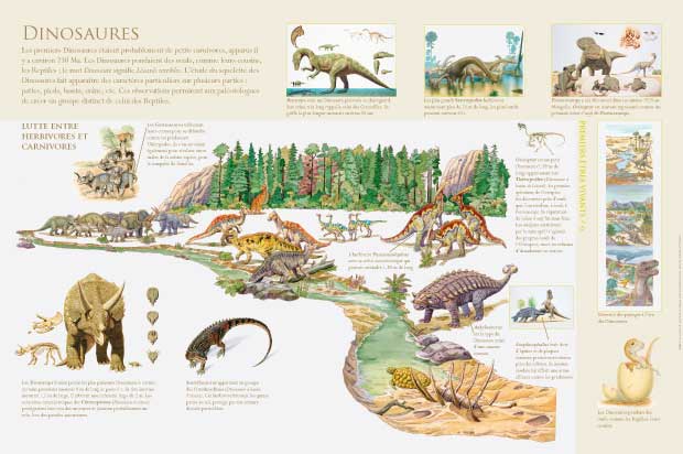 Amphibiens et Reptiles