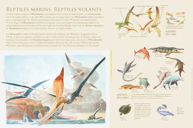 Reptiles marins, Reptiles volants