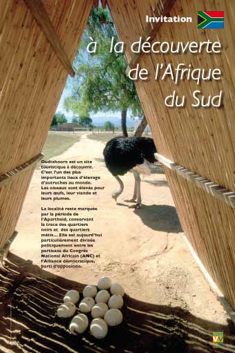 A la découverte de l'Afrique du Sud