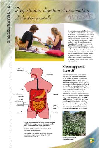 Dégustation, digestion et assimilation - L'éducation sensorielle