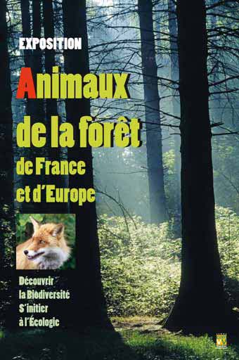 Exposition animaux de la foret de France