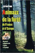 exposition Animaux de la forêt