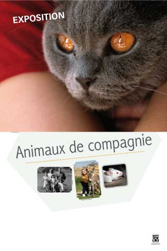 Exposition Animaux de compagnie