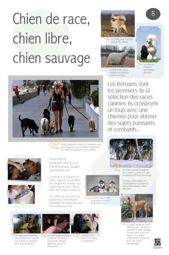 Chien de race, chien libre, chien sauvage