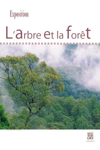 Exposition L’arbre et la forêt