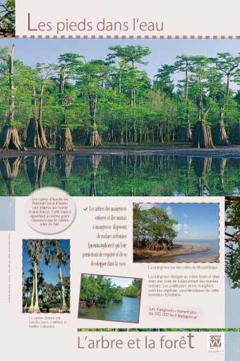 Les pieds dans l’eau