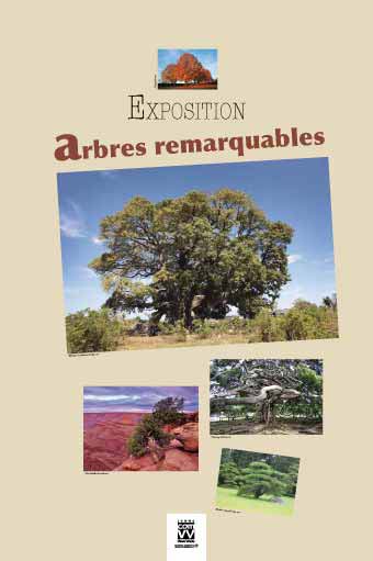  EXPOSITION Arbres remarquables