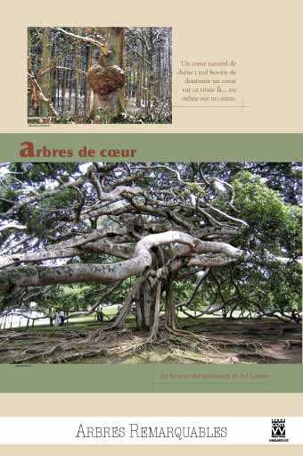 EXPOSITION Arbres de cœur