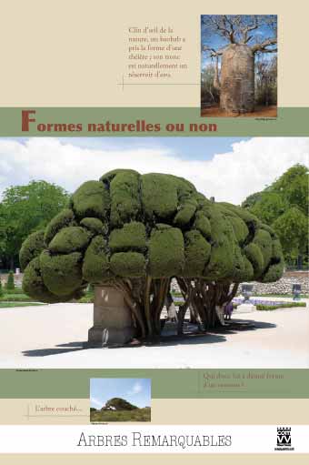 ExpositEXPOSITION Arbres Formes naturelles ou nonion culturelle 