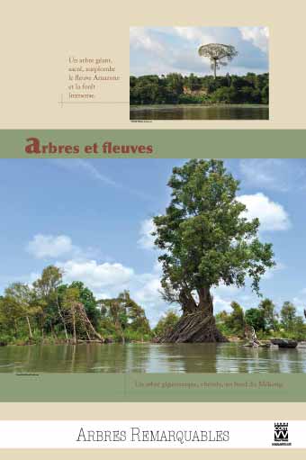 EXPOSITION Arbres et fleuves