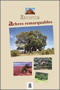 exposition Arbres remarquables