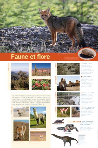 exposition argentine faune et flore 