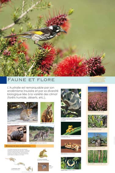 Exposition Australie Faune et flore 