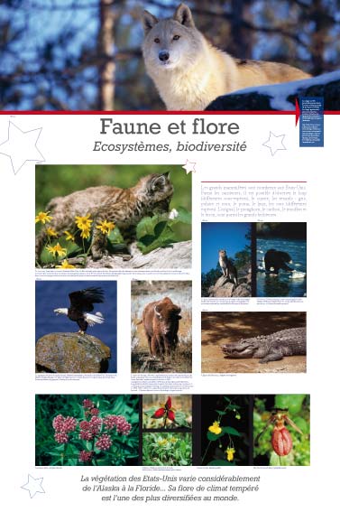 Faune et flore, Ecosystèmes, Biodiversité