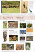 exposition Inde Faune et flore