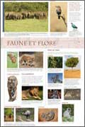 exposition Inde Faune et flore