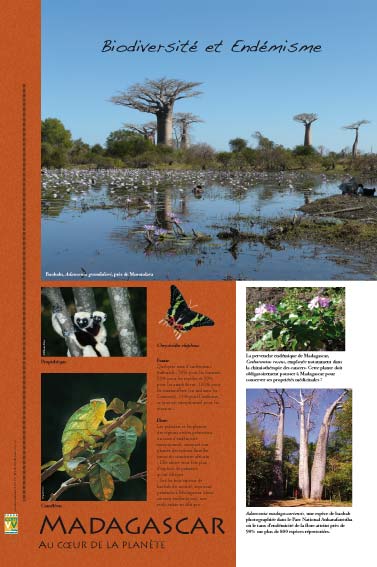 Biodiversité et endémisme