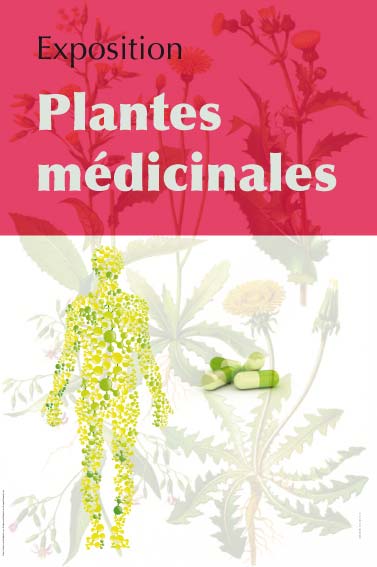Exposition Plantes médicinales