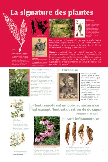 La signature des plantes 