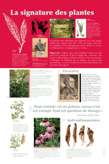 La signature des plantes 