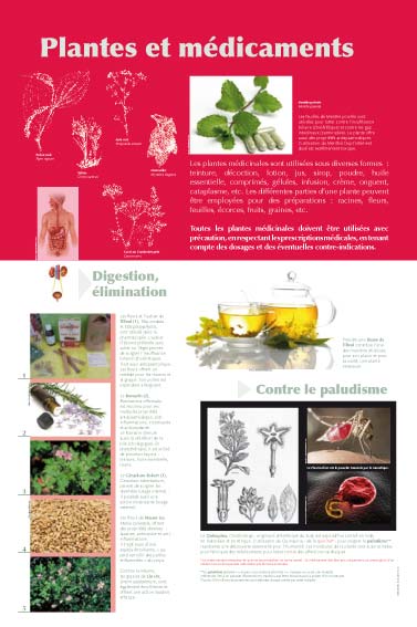 Plantes et médicaments