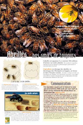 Exposition abeilles