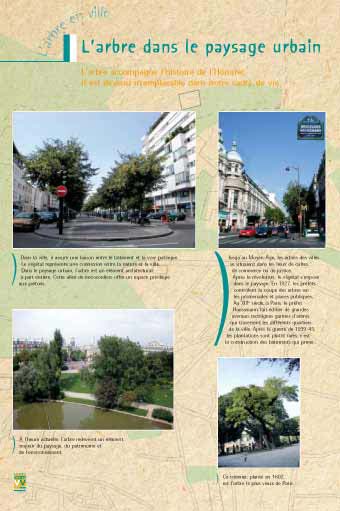 Exposition L'arbre en ville