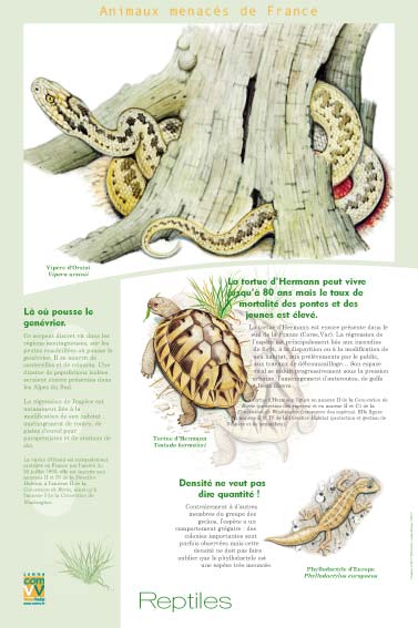 Exposition Les animaux menacés de France Reptiles