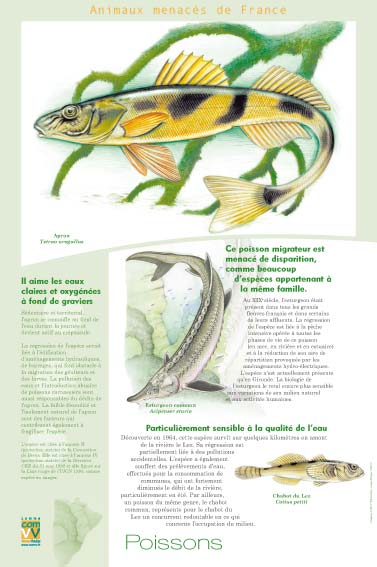 Exposition Les animaux menacés de France Poissons