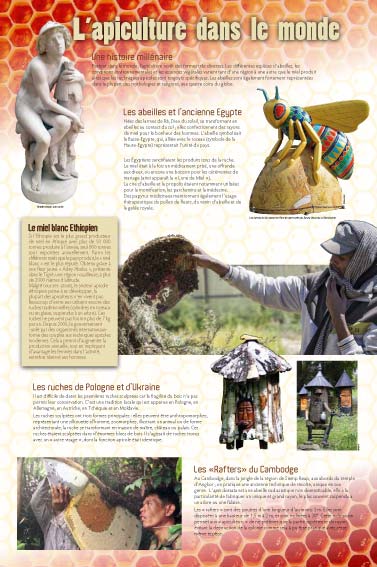 exposition l'apiculture dans le monde 