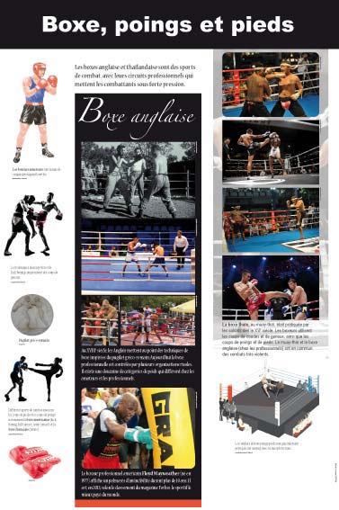 exposition Boxe, poings et pieds