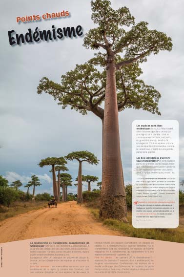 Exposition Biodiversité Endémisme