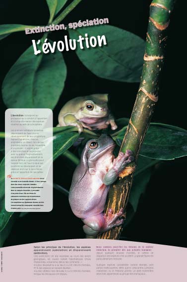 Exposition Biodiversité L’évolution