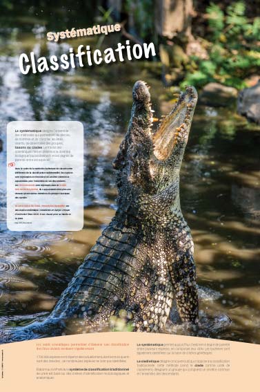 Exposition Biodiversité Classification