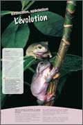 Exposition Biodiversité L’évolution