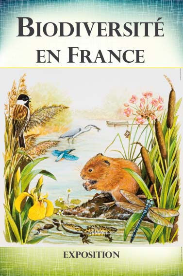 expositionExposition Biodiversité  découverte