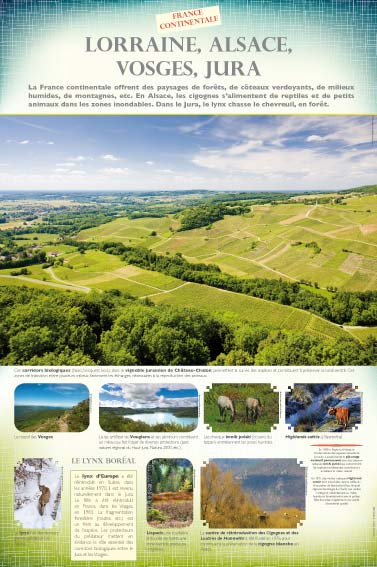 Exposition biodiversité Lorraine, Alsace, Vosges, Jura