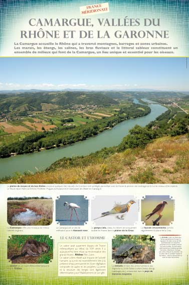 Exposition biodiversité Camargue, vallées du Rhône et de la Garonne