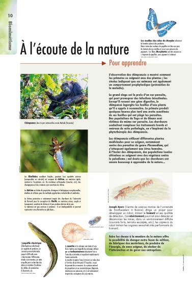 Exposition biomimétisme à l’écoute de la nature