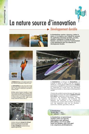 Exposition biomimétisme La nature source d’innovation