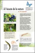 Exposition biomimétisme à l’écoute de la nature