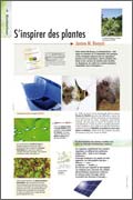 Exposition biomimétisme S’inspirer des plantes