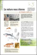 Exposition biomimétisme La nature nous étonne