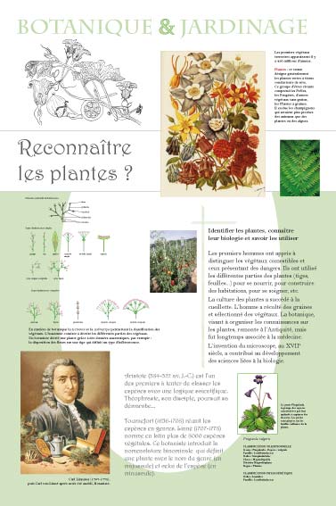 Reconnaître les plantes