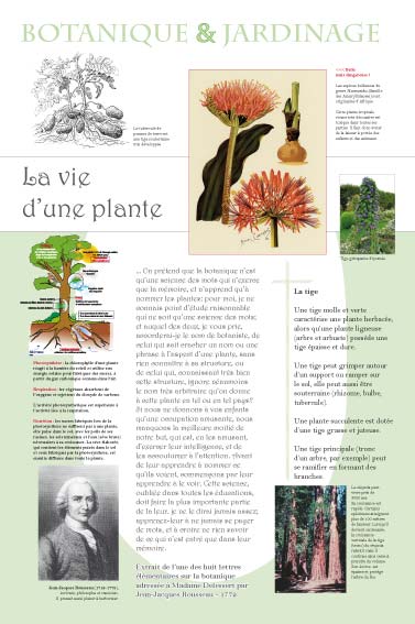 expositioLa vie d'une planten culturelle